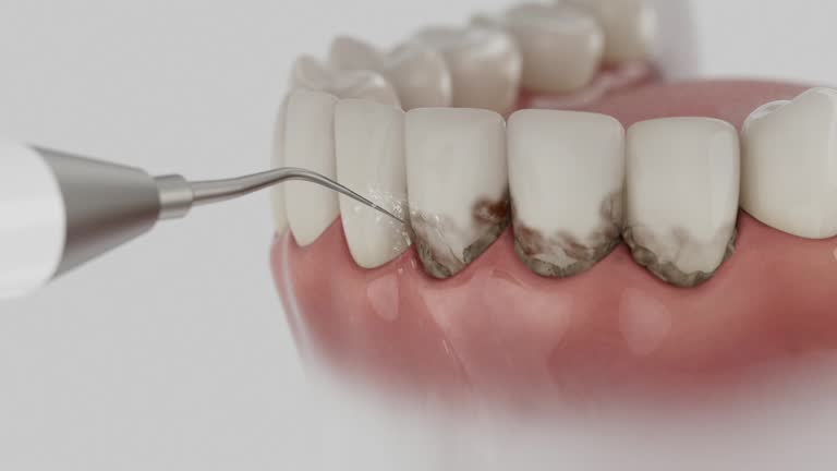 Reliable Dental contractor in Bertram, TX by Dentist Open Now